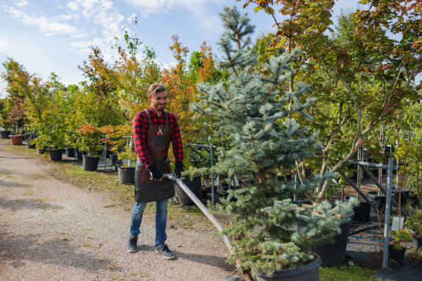 Johnsonville, SC Tree Services Company